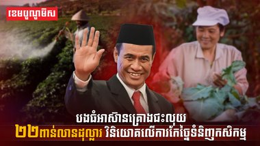 វិស័យកសិកម្ម