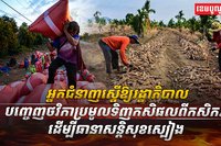 សន្តិសុខស្បៀង