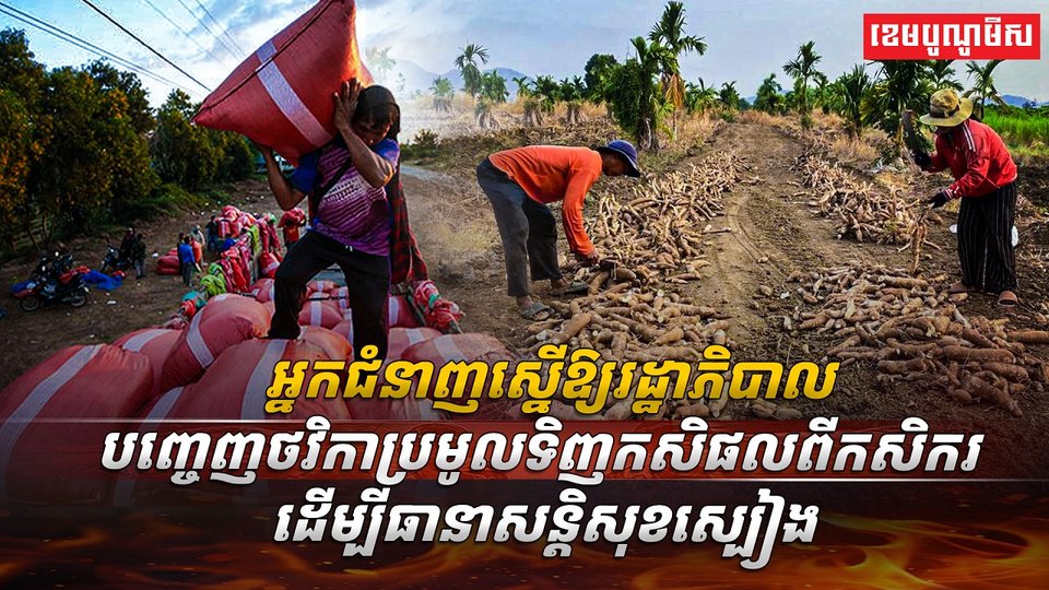 សន្តិសុខស្បៀង