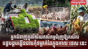 វិស័យកសិកម្ម