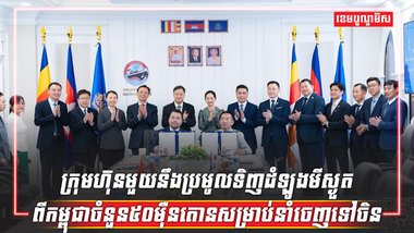 ដំឡូងមីស្ងួត
