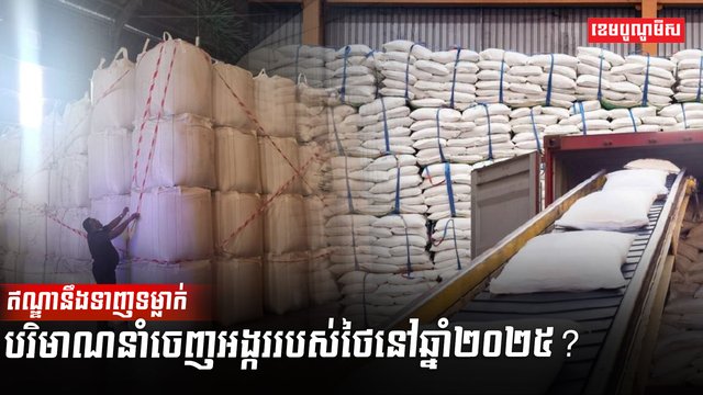 វិស័យកសិកម្ម