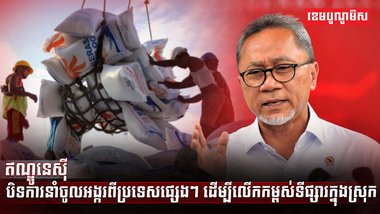 វិស័យស្រូវ អង្ករ