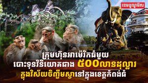 កសិដ្ឋានចិញ្ចឹមសត្វស្វា