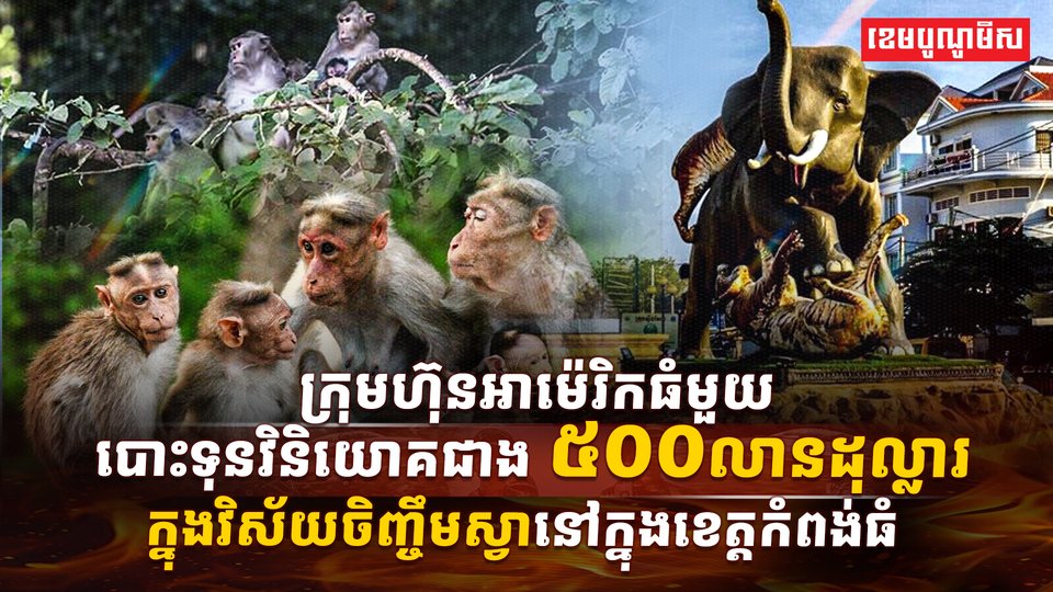 កសិដ្ឋានចិញ្ចឹមសត្វស្វា