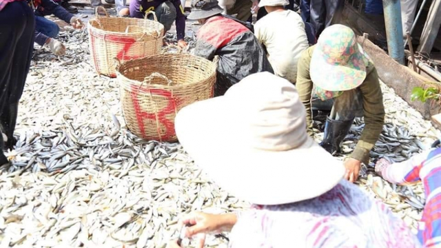 កម្ពុជានាំចេញផលនេសាទស្រស់ក្នុងរយៈពេល ៩ខែឆ្នាំ២០១៩ នៅតែដាំក្បាលចុះ