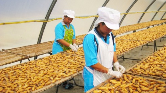 ថៃ បញ្ចេញកញ្ចប់ថវិកាប្រចាំឆ្នាំ ៤០លានដុល្លារ សម្រាប់វិស័យ SME នៅឆ្នាំនេះ (https://forum.thaivisa.com)