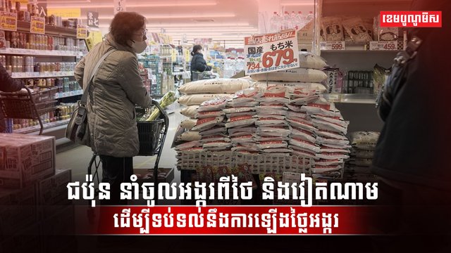 វិស័យស្រូវ អង្ករ