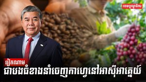 ដំណាំកាហ្វេ