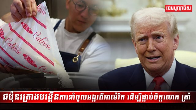 វិស័យស្រូវ អង្ករ