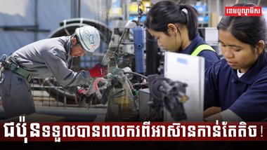 វិស័យការងារ