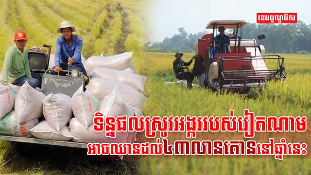 វិស័យកសិកម្ម