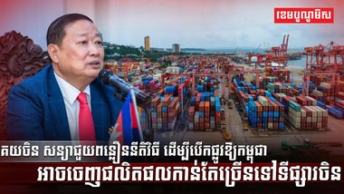 វិស័យកសិកម្ម