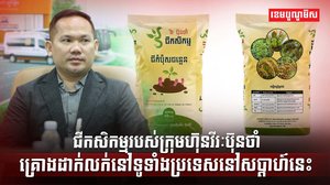 វិស័យកសិកម្ម