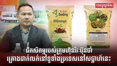 វិស័យកសិកម្ម
