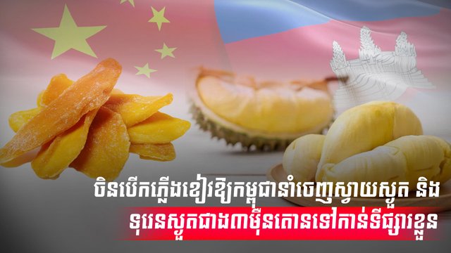 វិស័យកសិកម្ម