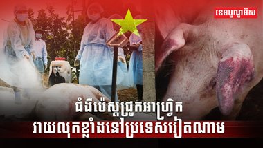 វិស័យចិញ្ចឹមសត្វ