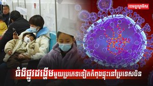 ជំងឺផ្លូវដង្ហើម