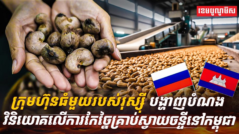 គ្រាប់ស្វាយចន្ទី