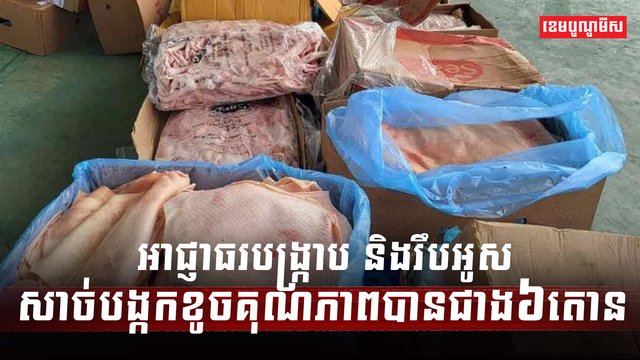 សាច់បង្កក