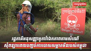 ការបោសសម្អាតមីន