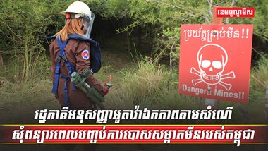 ការបោសសម្អាតមីន