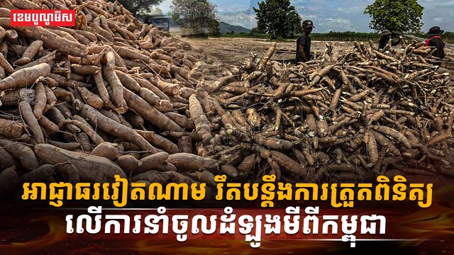 ដំឡូងមី