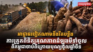 ទីផ្សារដំឡូងមី