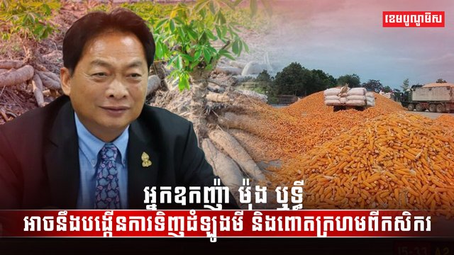 វិស័យកសិកម្ម