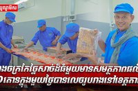ច្នៃសាច់ដ៏ធំមួយមានសមត្ថភាពផលិត១០តោនក្នុងមួយថ្ងៃ