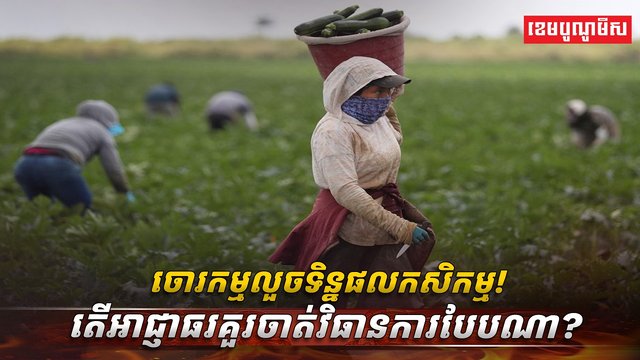 វិស័យ​កសិកម្ម