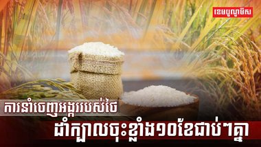 វិស័យស្រូវ អង្ករ