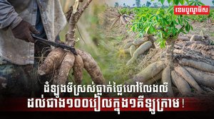 វិស័យកសិកម្ម