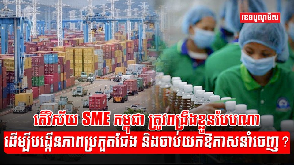 វិស័យ SME