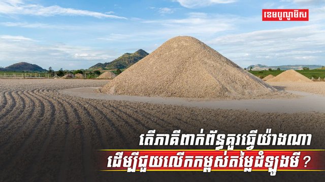 វិស័យដំឡូងមី