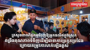 វិស័យ SME