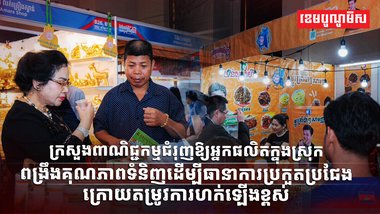 វិស័យ SME