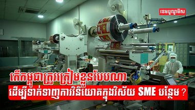 វិស័យ SME