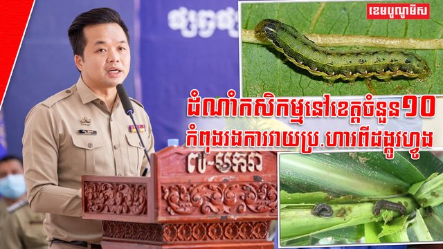 ឯកឧត្តម ឃឹម ហ្វីណង់