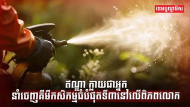 វិស័យកសិកម្ម