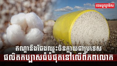 វិស័យកសិកម្ម