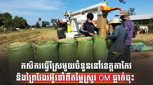 វិស័យស្រូវ អង្ករ