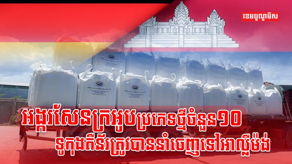 វិស័យកសិកម្ម