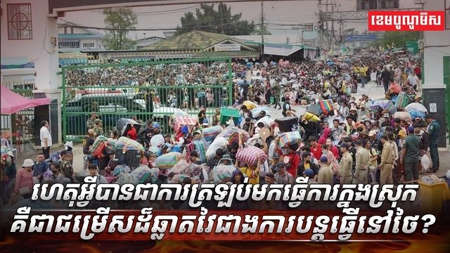 វិស័យការងារ