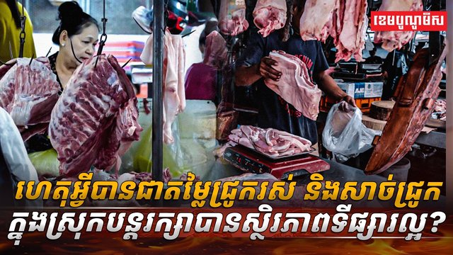 វិស័យចិញ្ចឹមសត្វ