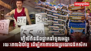វិស័យស្រូវអង្ករ
