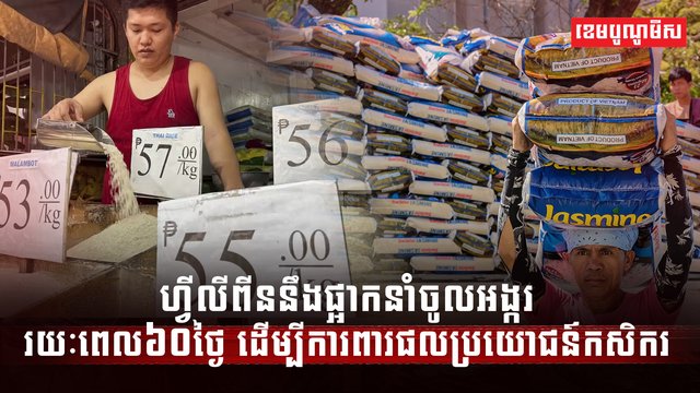 វិស័យស្រូវអង្ករ