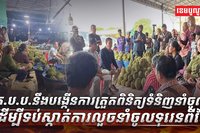 ទីផ្សារទុរេន