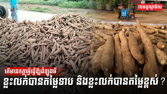 វិស័យកសិកម្ម