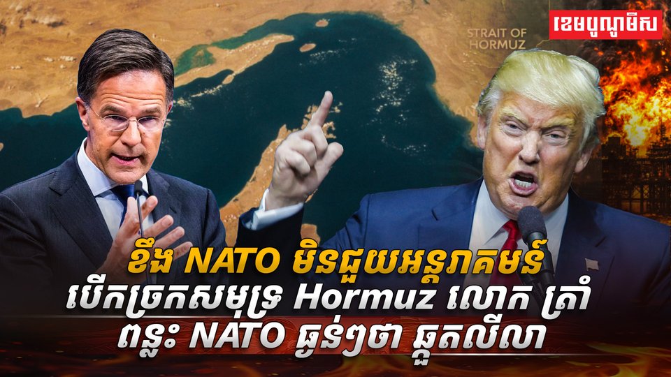 អង្គការ NATO